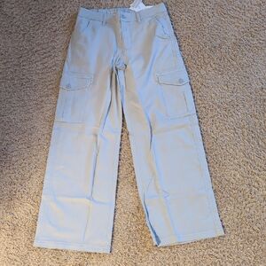 American Eagle Outfitters Gray Dreamy Drape Baggy Wide Leg Stretch Cargo  Pants
